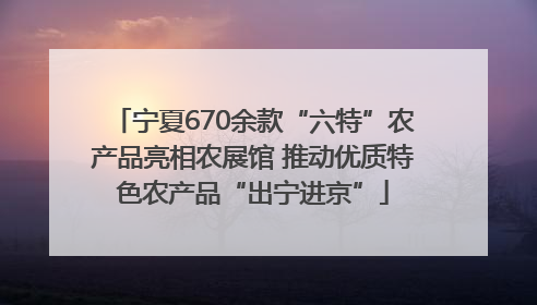 宁夏670余款“六特”农产品亮相农展馆 推动优质特色农产品“出宁进京”