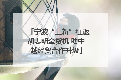 宁波“上新”往返胡志明全货机 助中越经贸合作升级