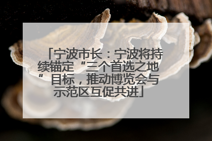 宁波市长：宁波将持续锚定“三个首选之地”目标，推动博览会与示范区互促共进