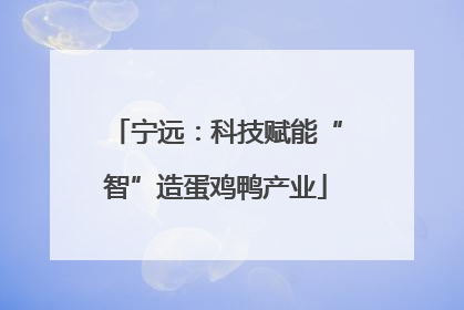 宁远：科技赋能“智”造蛋鸡鸭产业