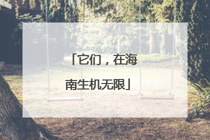 它们，在海南生机无限