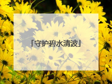 守护碧水清波