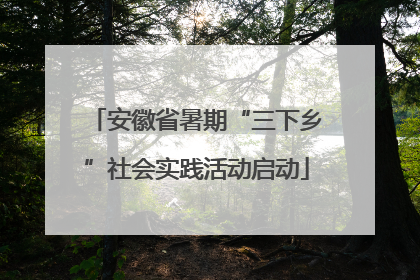 安徽省暑期“三下乡”社会实践活动启动