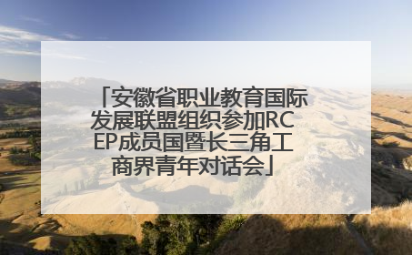 安徽省职业教育国际发展联盟组织参加RCEP成员国暨长三角工商界青年对话会