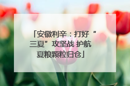 安徽利辛：打好“三夏”攻坚战 护航夏粮颗粒归仓