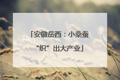 安徽岳西：小桑蚕“织”出大产业