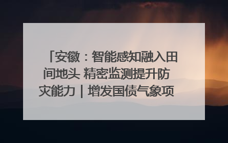 安徽：智能感知融入田间地头 精密监测提升防灾能力｜增发国债气象项目落地见效系列报道