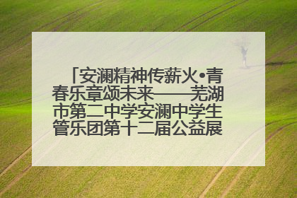 安澜精神传薪火•青春乐章颂未来——芜湖市第二中学安澜中学生管乐团第十二届公益展演圆满举行