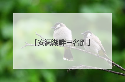 安澜湖畔三名胜