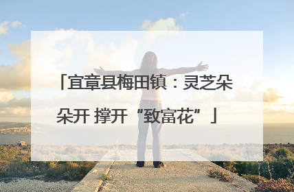 宜章县梅田镇：灵芝朵朵开 撑开“致富花”
