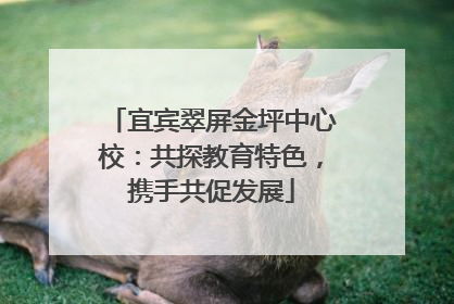 宜宾翠屏金坪中心校：共探教育特色，携手共促发展