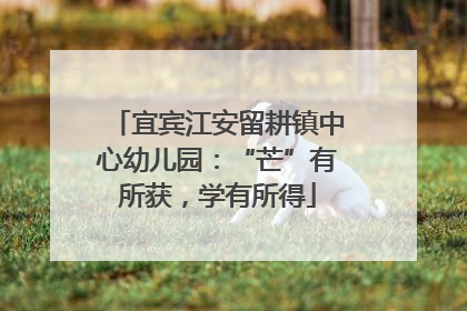 宜宾江安留耕镇中心幼儿园：“芒”有所获，学有所得