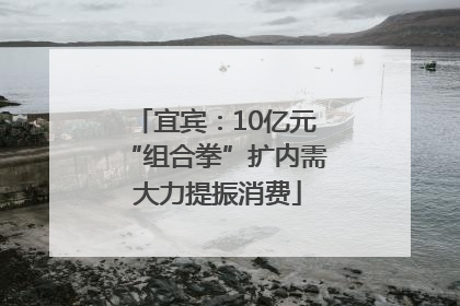 宜宾：10亿元“组合拳”扩内需 大力提振消费