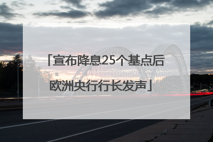 宣布降息25个基点后 欧洲央行行长发声