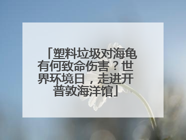 塑料垃圾对海龟有何致命伤害？世界环境日，走进开普敦海洋馆