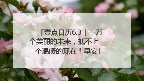 壹点日历6.3｜一万个美丽的未来，抵不上一个温暖的现在！早安
