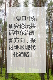 复旦中东研究论坛共话中东治理新方向，探讨地区现代化道路