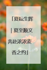 夏耘生辉｜夏至顺义奔赴浓浓麦香之约