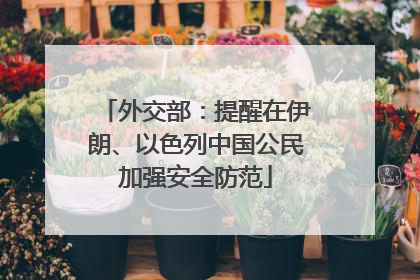 外交部：提醒在伊朗、以色列中国公民加强安全防范