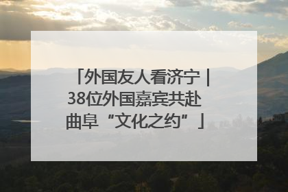 外国友人看济宁｜38位外国嘉宾共赴曲阜“文化之约”