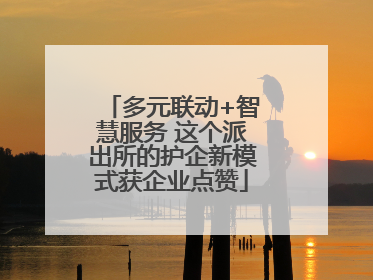 多元联动+智慧服务 这个派出所的护企新模式获企业点赞