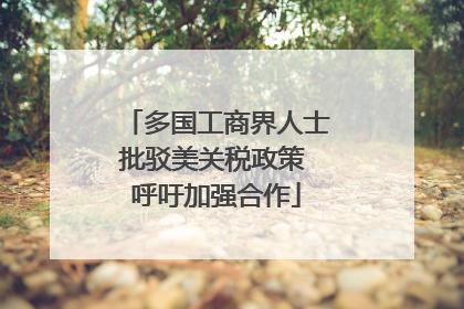多国工商界人士批驳美关税政策 呼吁加强合作