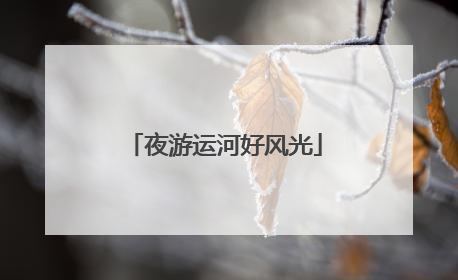 夜游运河好风光