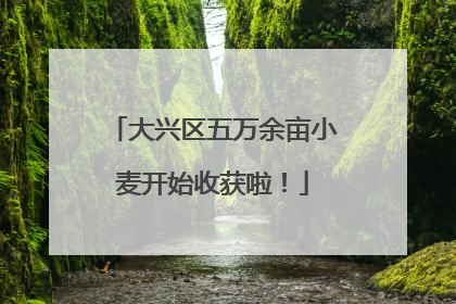 大兴区五万余亩小麦开始收获啦！