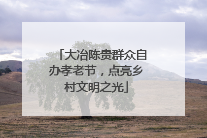 大冶陈贵群众自办孝老节，点亮乡村文明之光