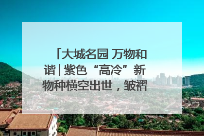 大城名园 万物和谐│紫色“高冷”新物种横空出世，皱褶叶片暗藏进化密码