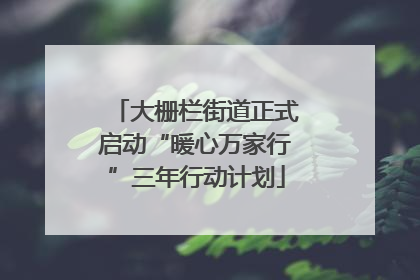 大栅栏街道正式启动“暖心万家行”三年行动计划