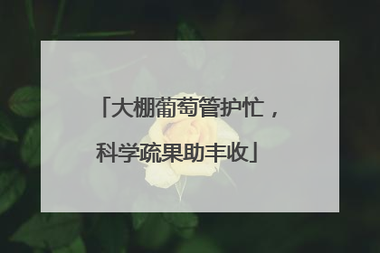 大棚葡萄管护忙，科学疏果助丰收
