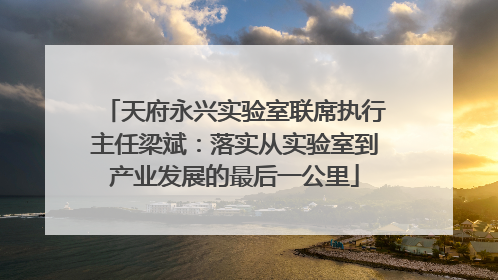 天府永兴实验室联席执行主任梁斌：落实从实验室到产业发展的最后一公里