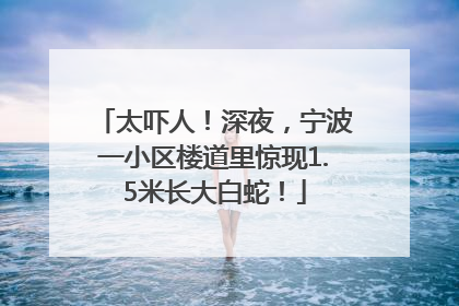 太吓人！深夜，宁波一小区楼道里惊现1.5米长大白蛇！