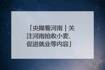 央媒看河南｜关注河南抢收小麦、促进就业等内容