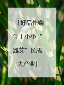 好品伴端午丨小小“潍艾”长成大产业