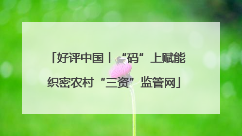 好评中国丨“码”上赋能 织密农村“三资”监管网