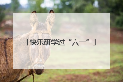 快乐研学过“六一”