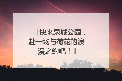 快来泉城公园，赴一场与荷花的浪漫之约吧！