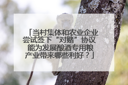 当村集体和农业企业尝试签下“对赌”协议 能为发展酿酒专用粮产业带来哪些利好？