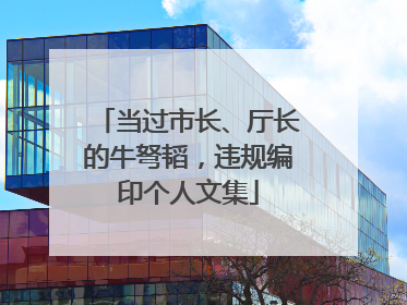 当过市长、厅长的牛弩韬，违规编印个人文集