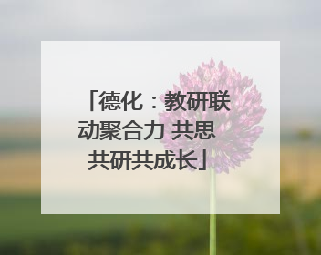 德化：教研联动聚合力 共思共研共成长
