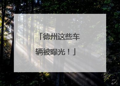 德州这些车辆被曝光！