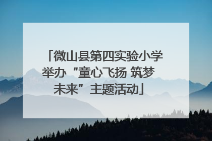 微山县第四实验小学举办“童心飞扬 筑梦未来”主题活动