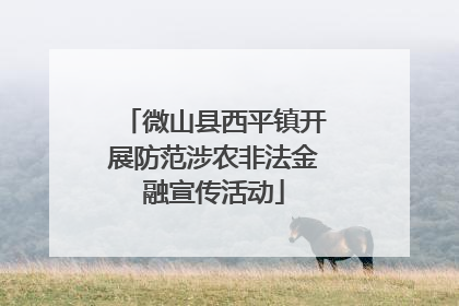 微山县西平镇开展防范涉农非法金融宣传活动