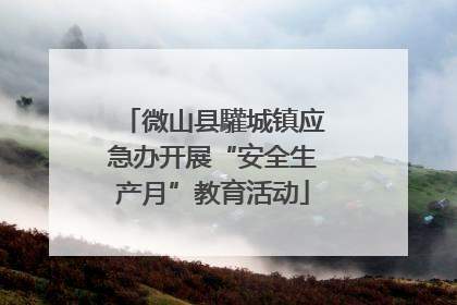 微山县驩城镇应急办开展“安全生产月”教育活动