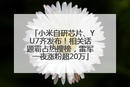 小米自研芯片、YU7齐发布！相关话题霸占热搜榜，雷军一夜涨粉超20万