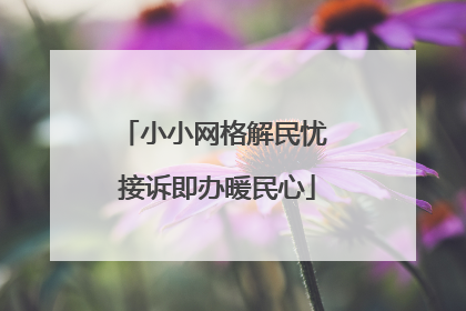 小小网格解民忧 接诉即办暖民心
