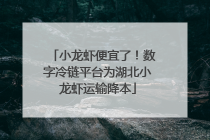小龙虾便宜了！数字冷链平台为湖北小龙虾运输降本