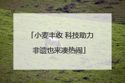 小麦丰收 科技助力 非遗也来凑热闹